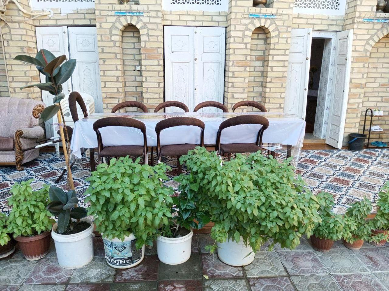 Hotel Sohibqiron Boutique Buchara Exterior foto